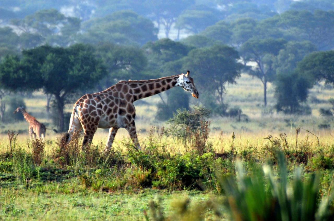 Victoria Lake View Guesthouse & Safaris Entebbe Exterior photo